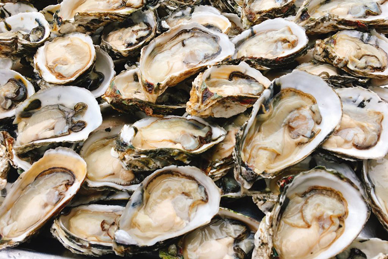 Món hải sản đặc biệt cho bữa ăn gia đình