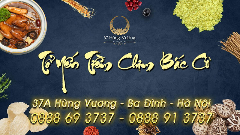 Tổ Yến tiềm chim Bắc Cô