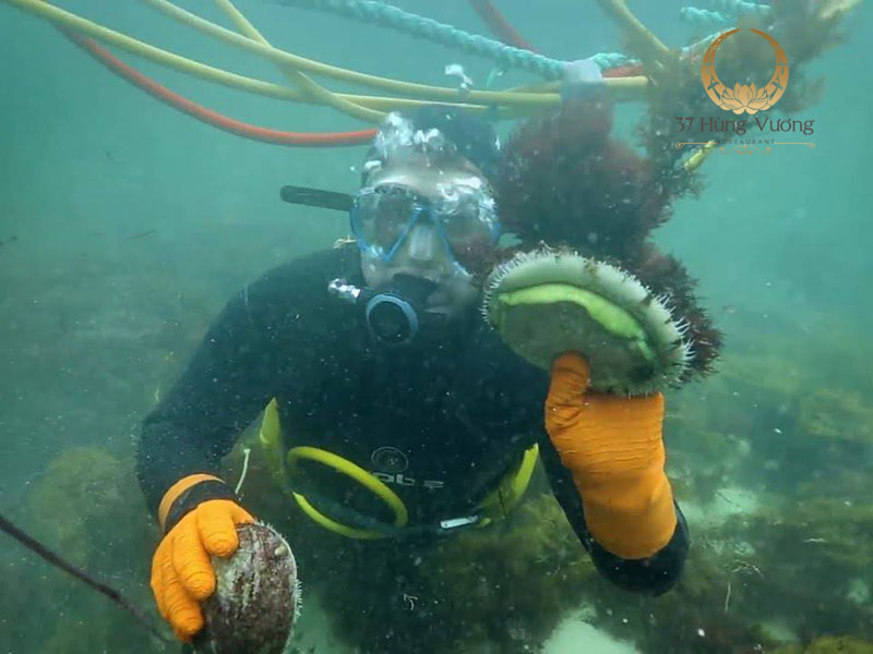 Quy trình đánh bắt kỳ công