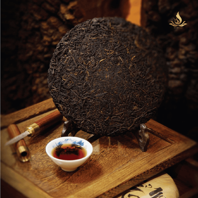 cổ mộc trà chín