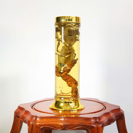 Rượu Sâm Ngọc Linh tự nhiên 18 năm 0.8kg