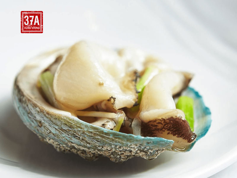 Thần dược biển sâu mang tên Bào ngư Úc viền xanh