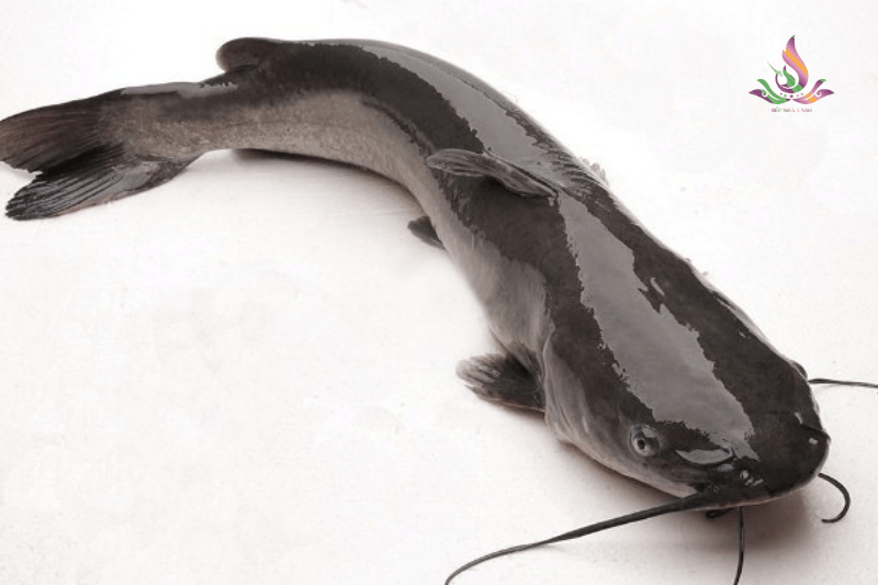 Cá lăng kho trà: Tuyệt phẩm ẩm thực đậm đà vị quê tại bếp nhà 5 Sao